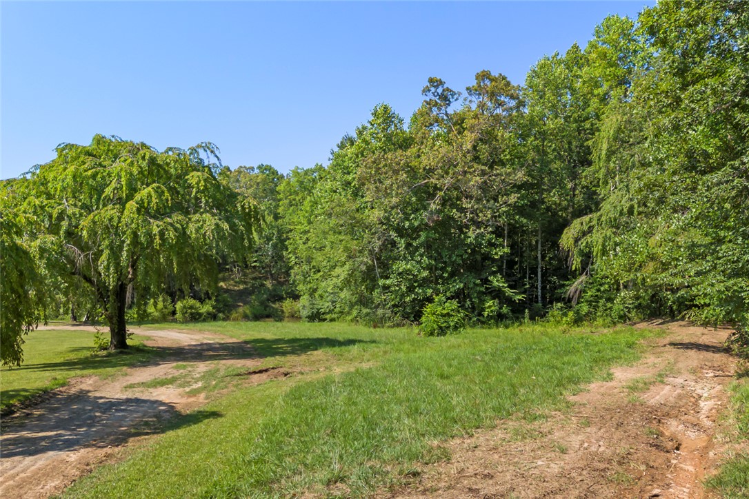 155 Dixie Lane Mountain Rest, SC 29664 - Photo 6 of 30