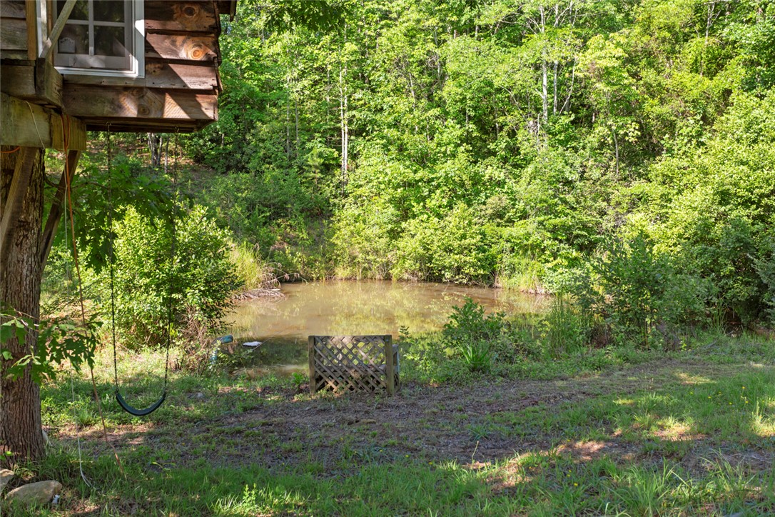155 Dixie Lane Mountain Rest, SC 29664 - Photo 10 of 30