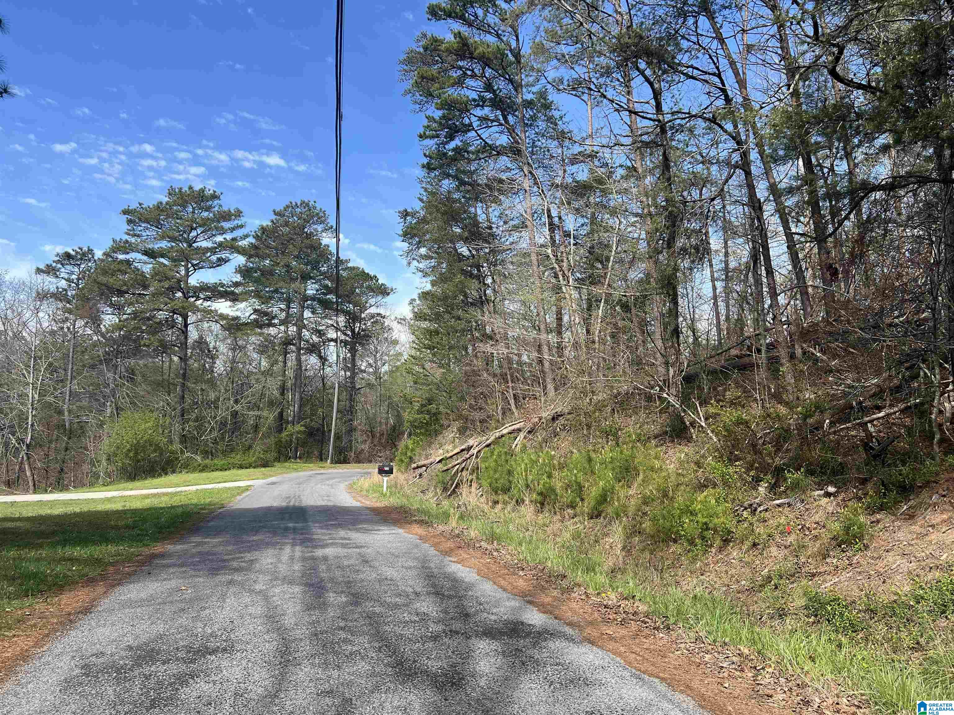 0 Lakeshore Lane, Unit 4 Oneonta, AL 35121 - Photo 38 of 49