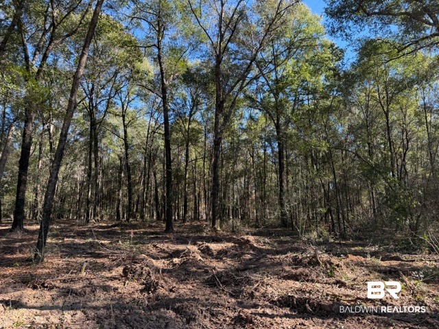 0 Danner Road East Wilmer, AL 36587 - Photo 21 of 34 Gallery Image 21