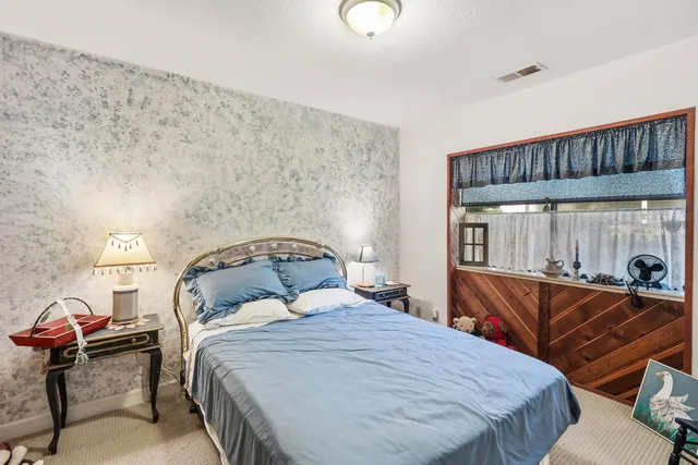 a view of a backyard with plants and trees