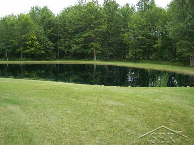 8945 South Fordney Road St. Charles, MI 48655 - Photo 1 of 12 20067568.JPG