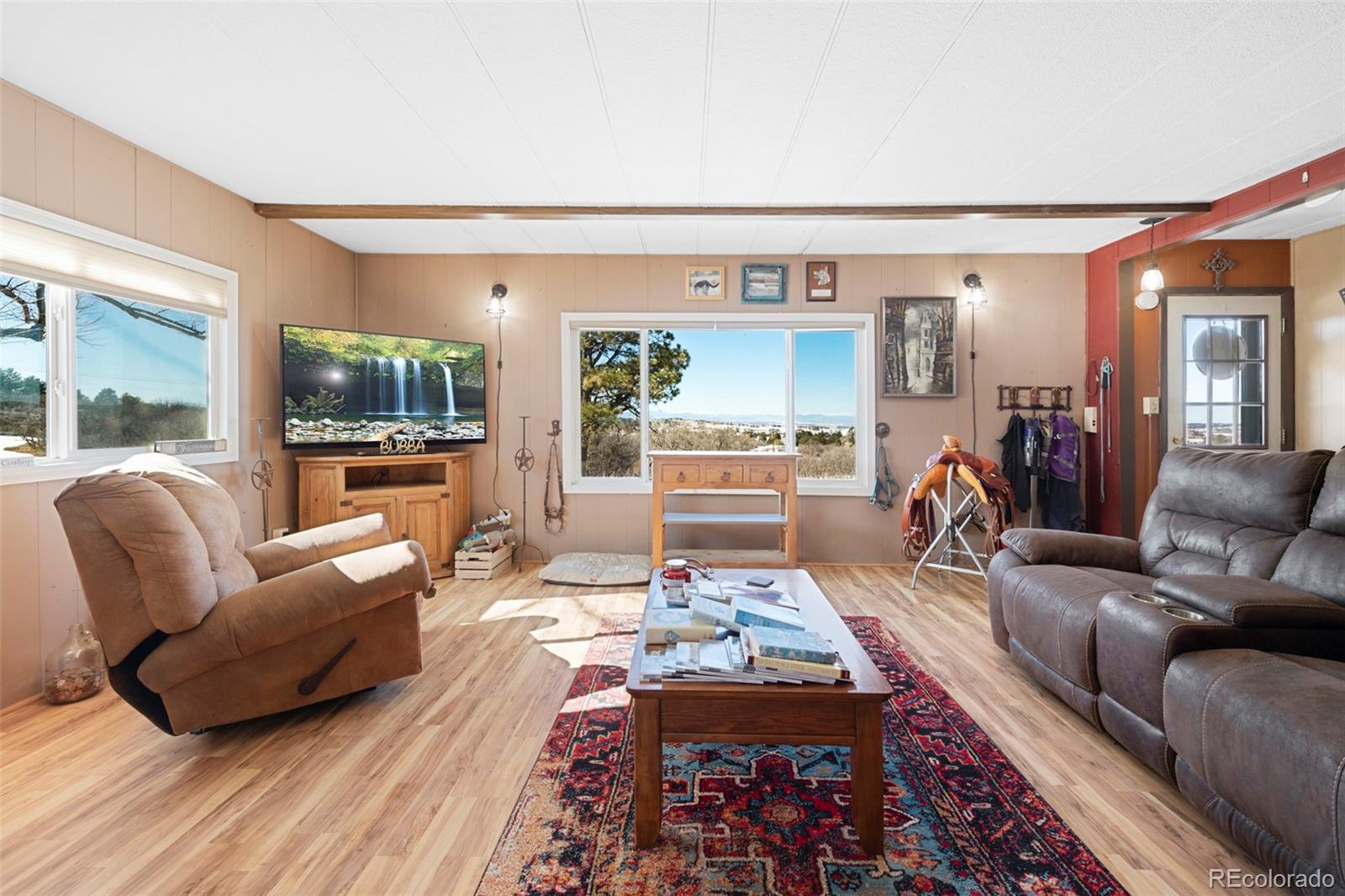 1382 Flintwood Road Franktown, CO 80116 - Photo 11 of 40 a living room with furniture and a rug