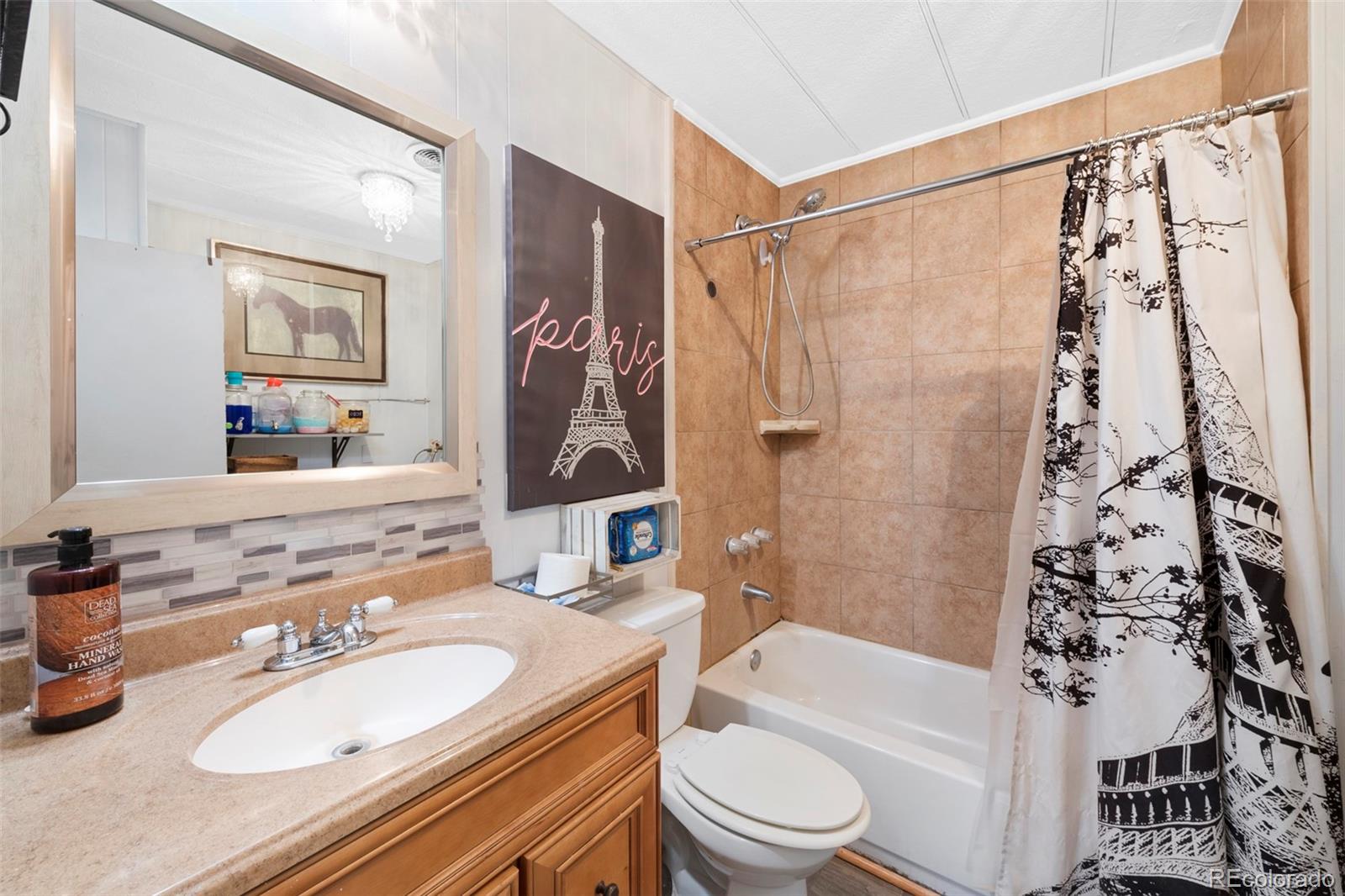 1382 Flintwood Road Franktown, CO 80116 - Photo 17 of 40 a bathroom with a sink toilet a shower and a mirror