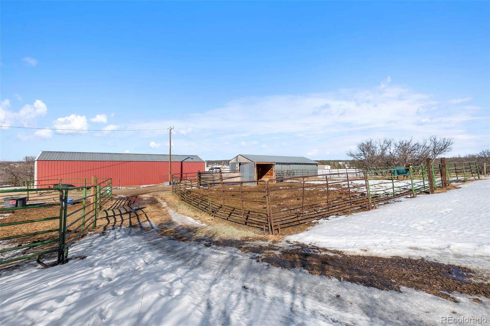 1382 Flintwood Road Franktown, CO 80116 - Photo 40 of 40