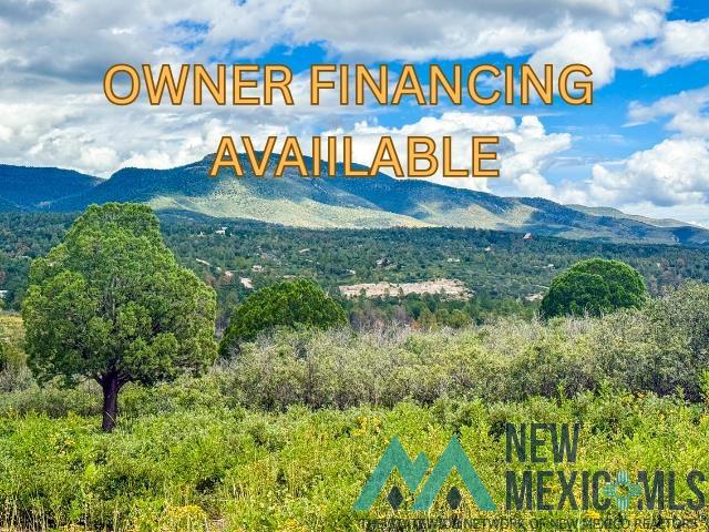 Lot 3 Paradise Road Timberon, NM 88350 - Photo 1 of 14 View of mountain background