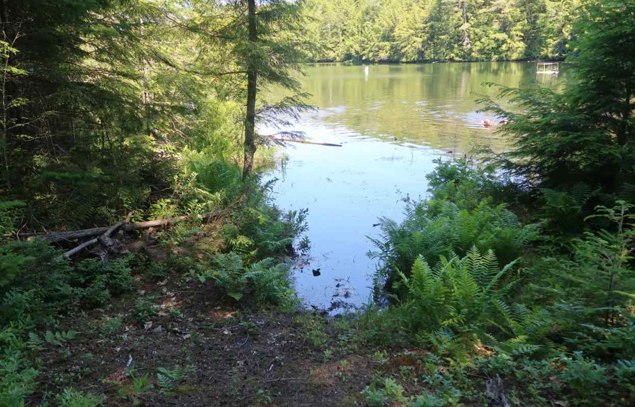 Off Poulsens Point Road Lisbon, NH 03585 - Photo 2 of 30