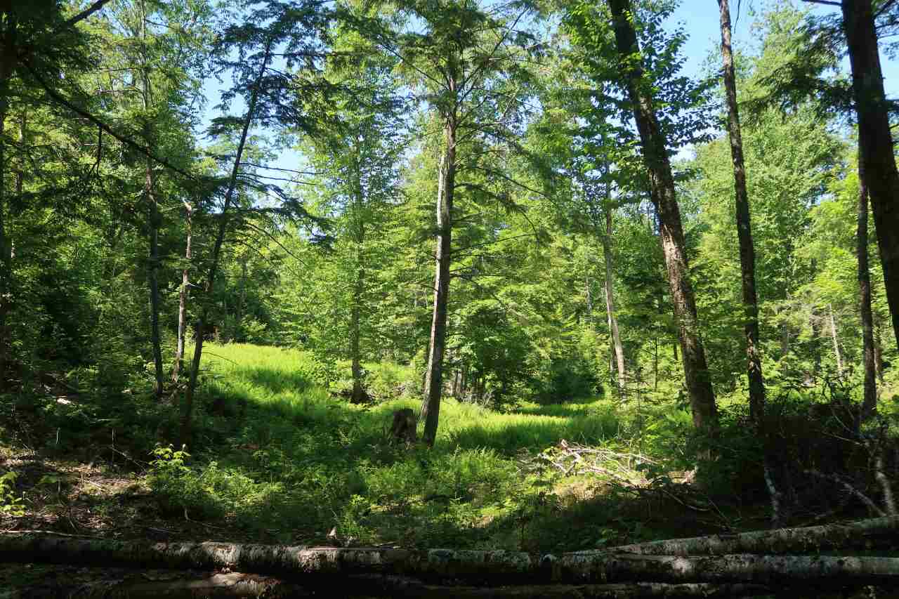 Off Poulsens Point Road Lisbon, NH 03585 - Photo 11 of 30