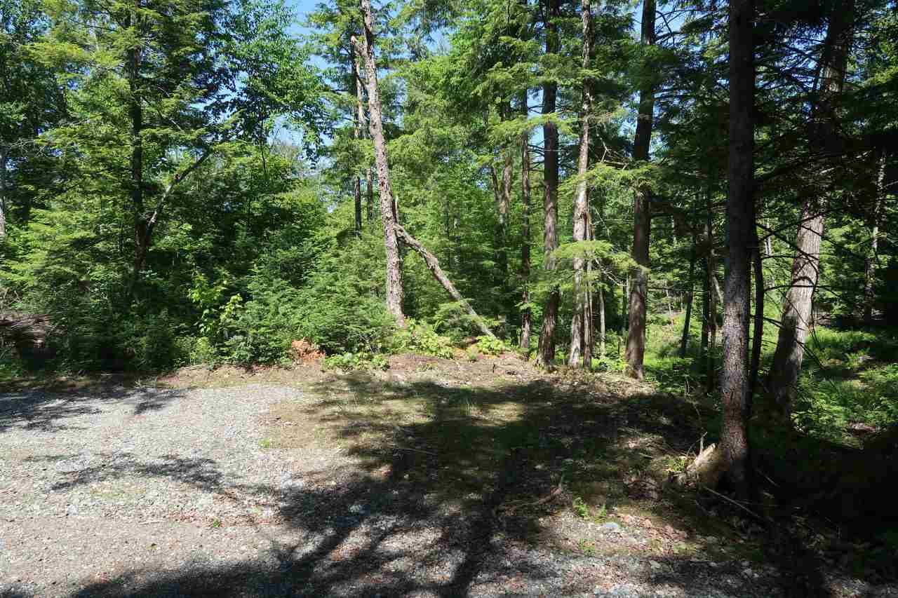 Off Poulsens Point Road Lisbon, NH 03585 - Photo 12 of 30