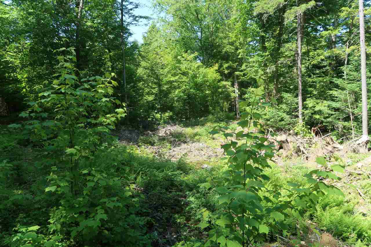 Off Poulsens Point Road Lisbon, NH 03585 - Photo 16 of 30
