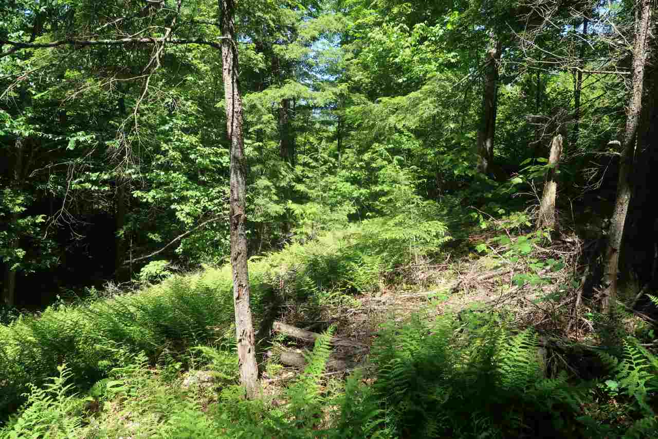 Off Poulsens Point Road Lisbon, NH 03585 - Photo 19 of 30