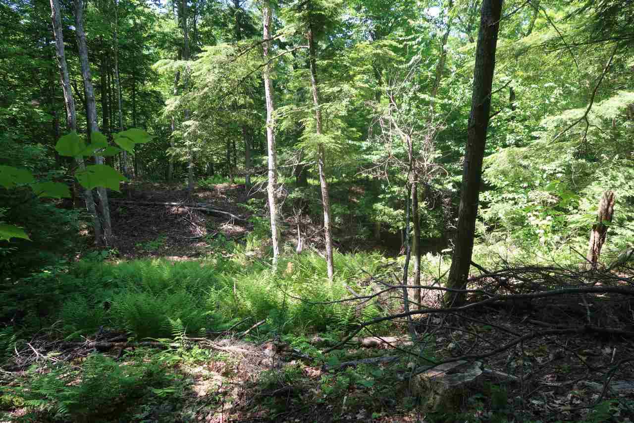 Off Poulsens Point Road Lisbon, NH 03585 - Photo 20 of 30