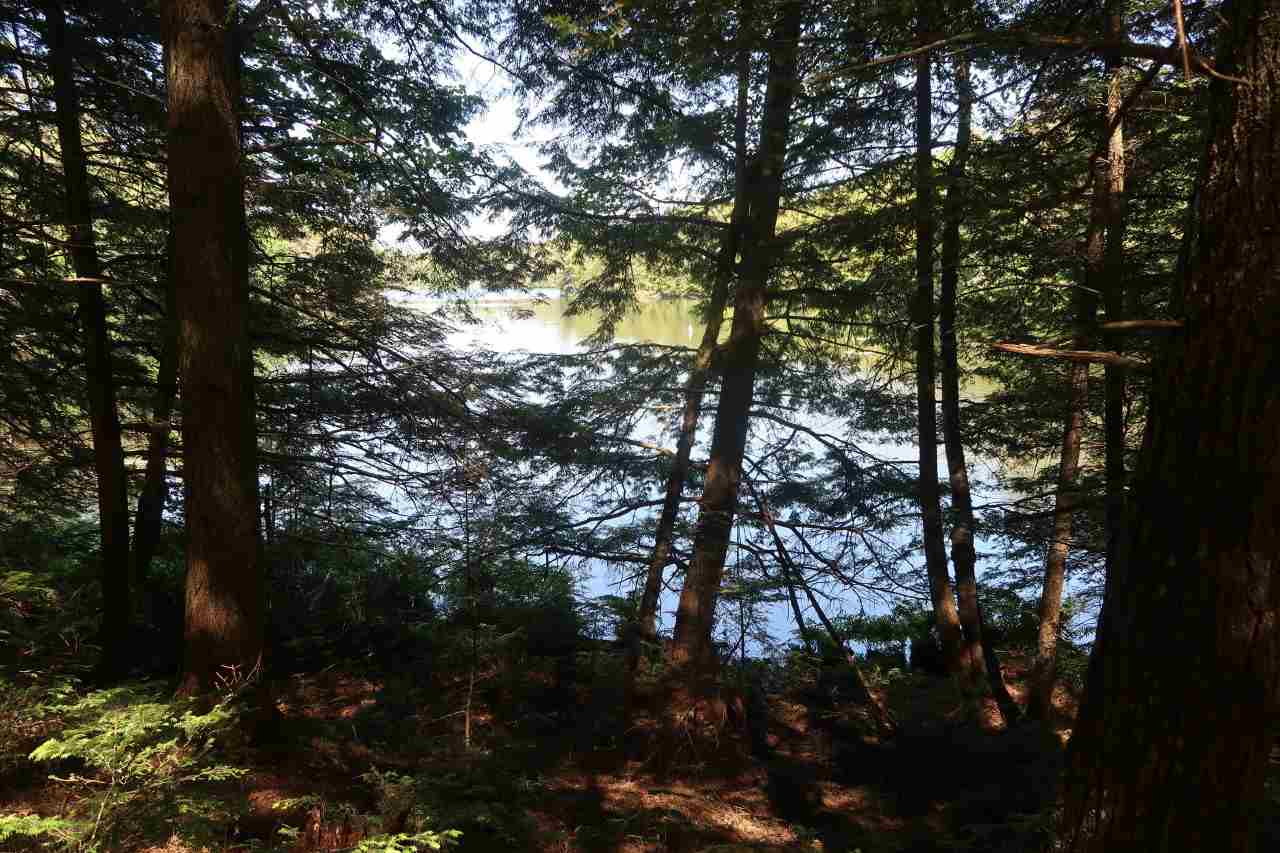 Off Poulsens Point Road Lisbon, NH 03585 - Photo 3 of 30