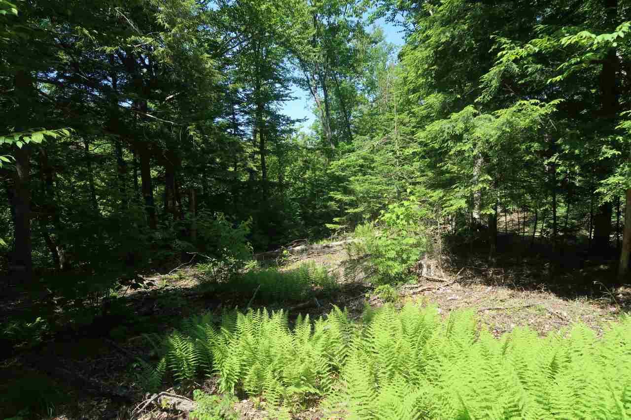 Off Poulsens Point Road Lisbon, NH 03585 - Photo 23 of 30