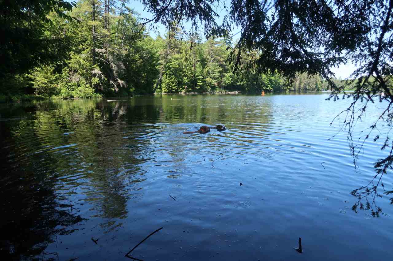 Off Poulsens Point Road Lisbon, NH 03585 - Photo 29 of 30