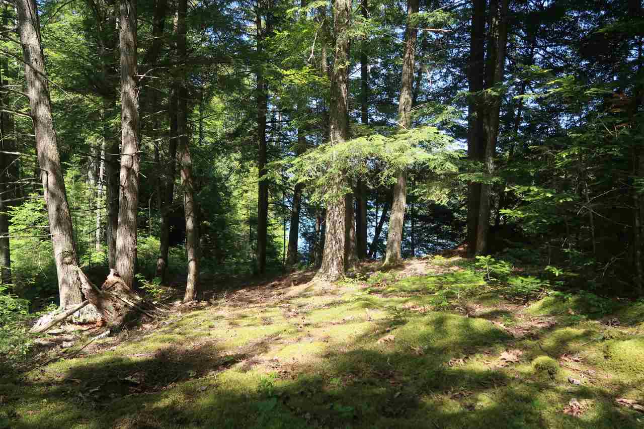 Off Poulsens Point Road Lisbon, NH 03585 - Photo 4 of 30