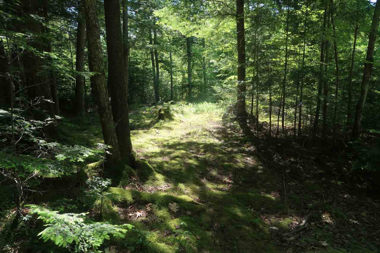 Off Poulsens Point Road Lisbon, NH 03585 - Photo 5 of 30