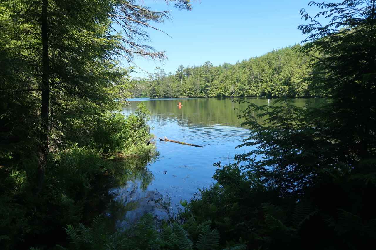 Off Poulsens Point Road Lisbon, NH 03585 - Photo 6 of 30