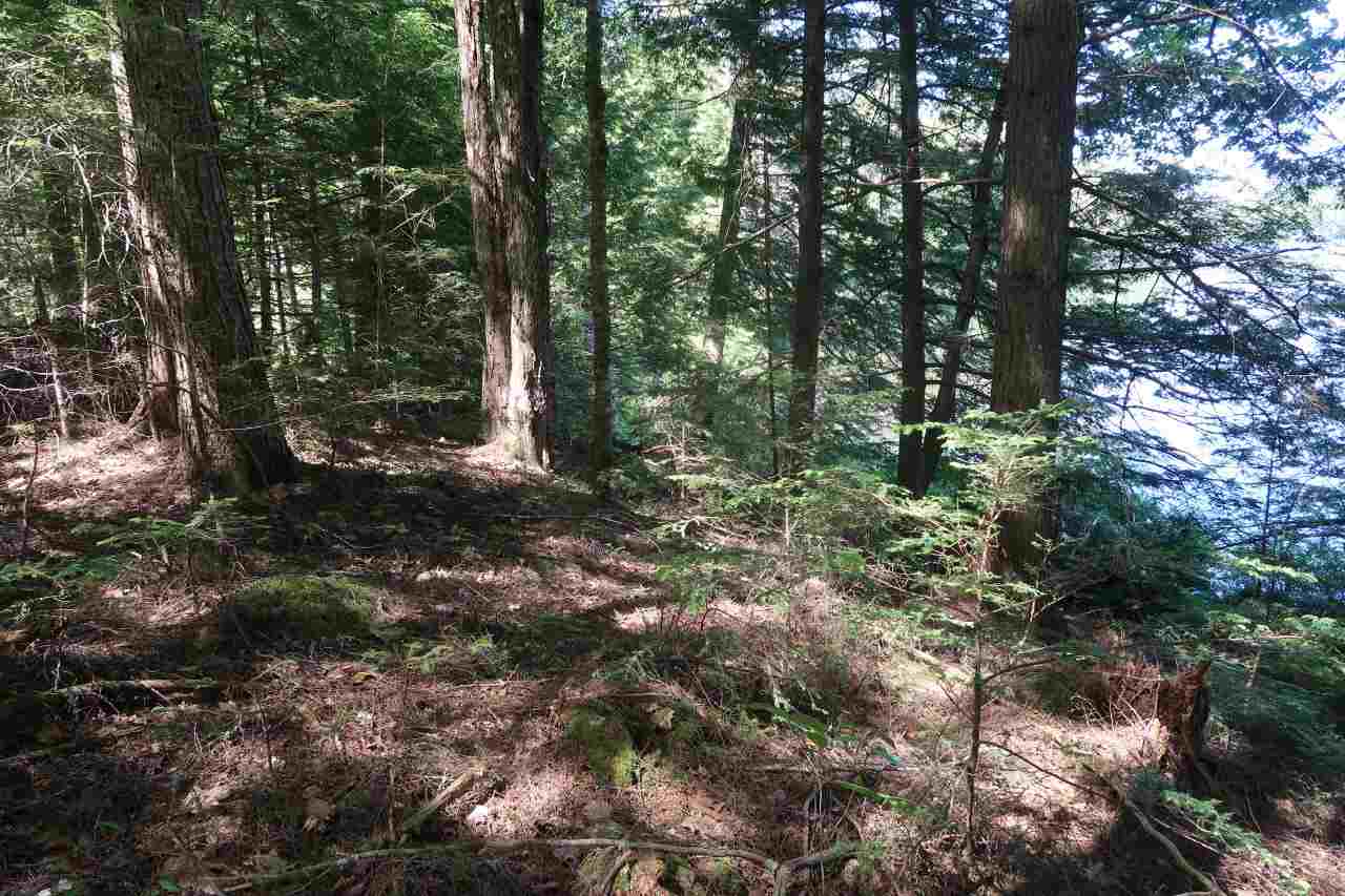 Off Poulsens Point Road Lisbon, NH 03585 - Photo 7 of 30