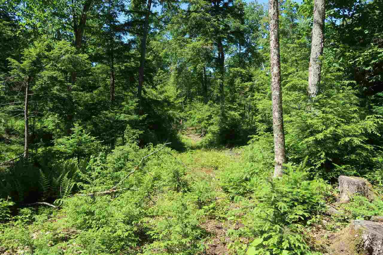 Off Poulsens Point Road Lisbon, NH 03585 - Photo 10 of 30