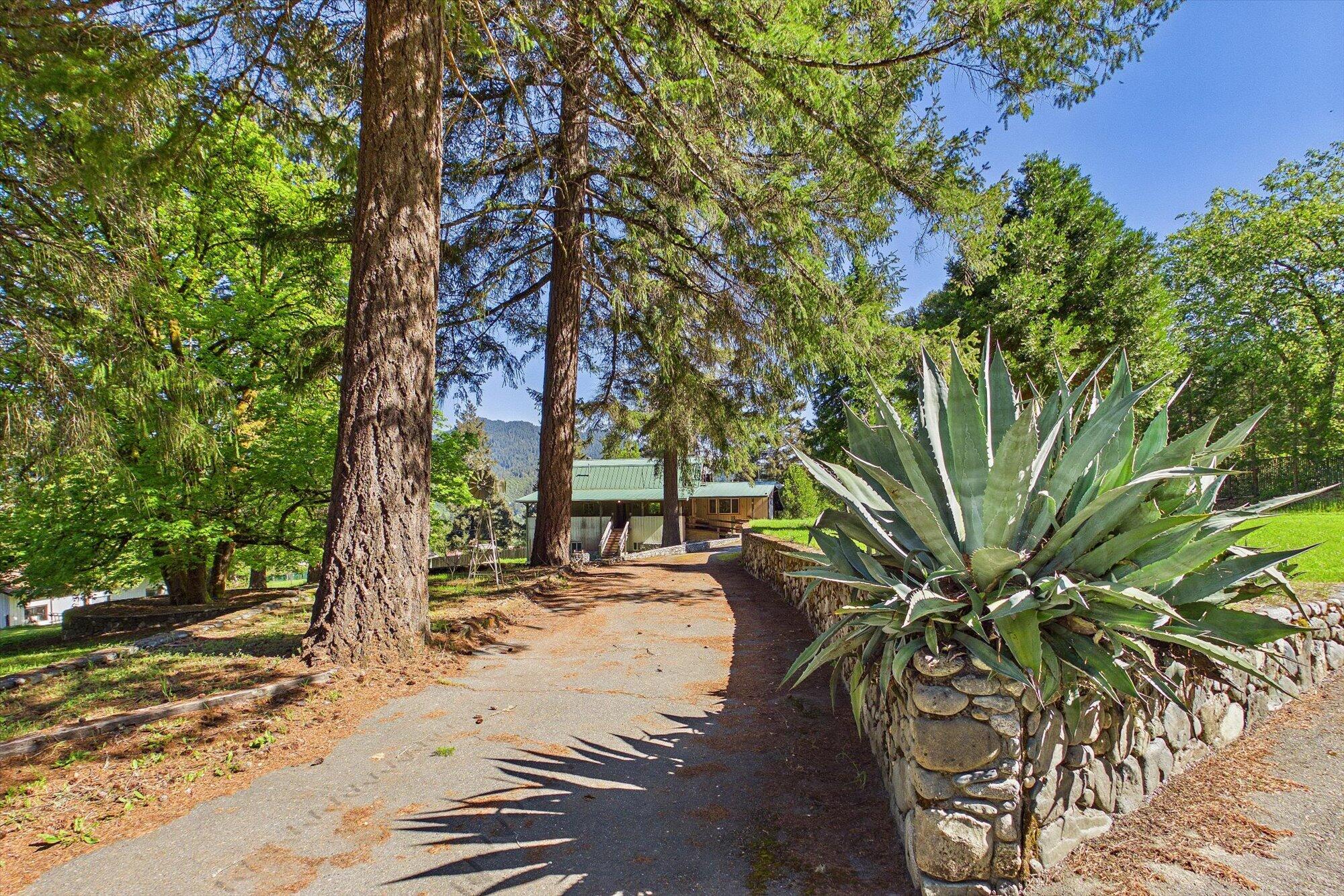 1490 Red Cap Road Orleans, CA 95556 - Photo 12 of 71