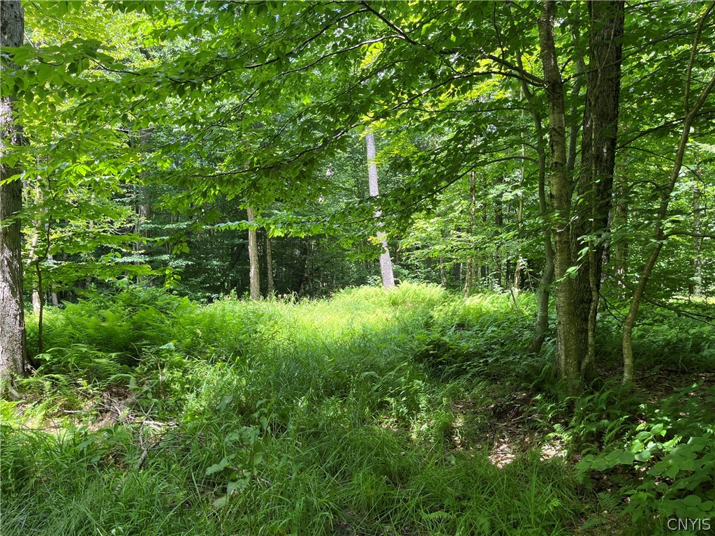 East Town Line Road Lorraine, NY 13659 - Photo 27 of 34 Gallery Image 27
