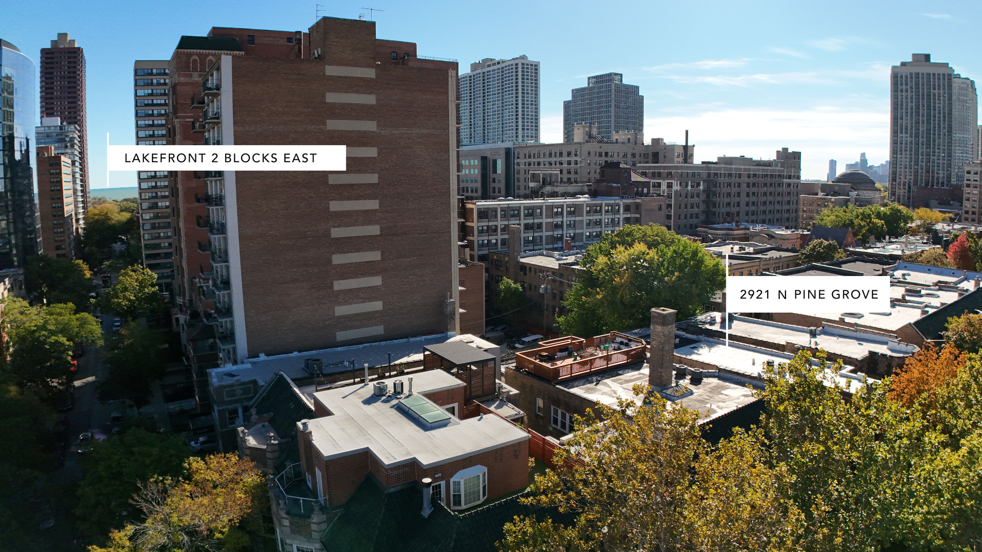 2921 North Pine Grove Avenue, Unit 1 Chicago, IL 60657 - Photo 43 of 44