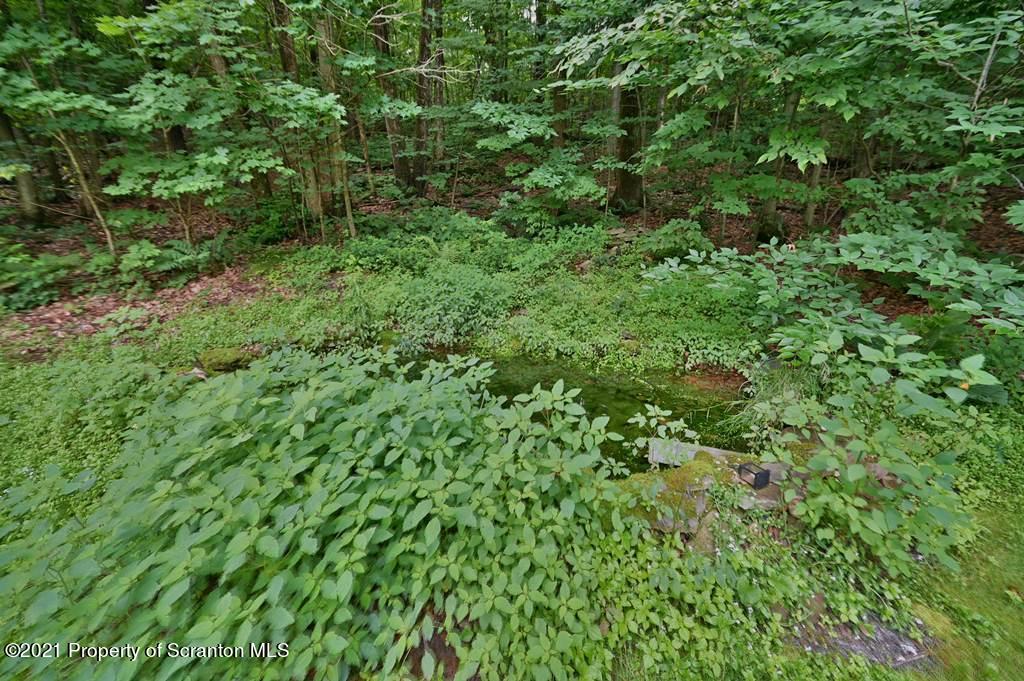 205 Wilcrest Road Moscow, PA 18444 - Photo 54 of 70 Gallery Image 54