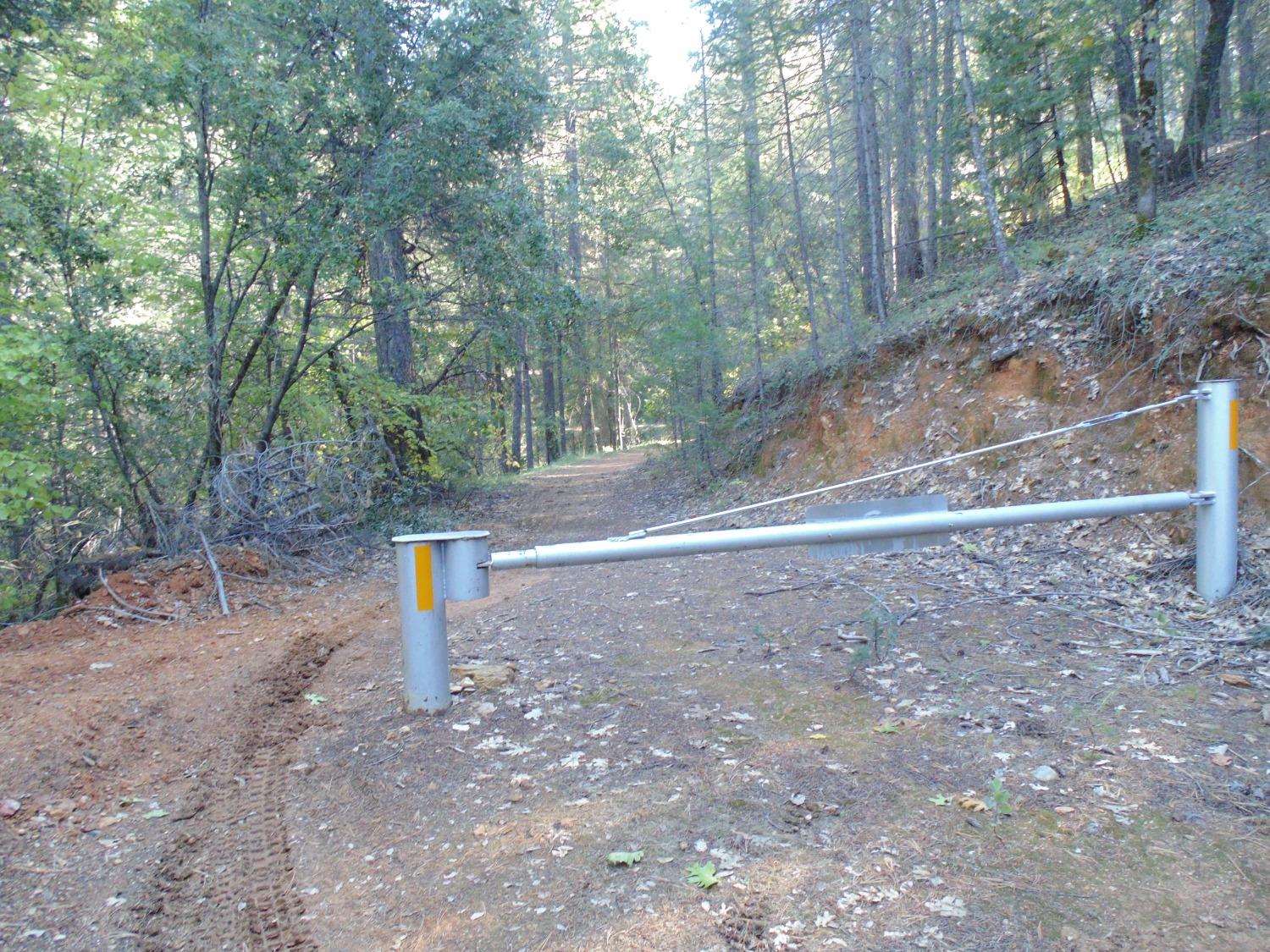 35 Balderston Road Georgetown, CA 95634 - Photo 37 of 37 a view of a dry yard with trees