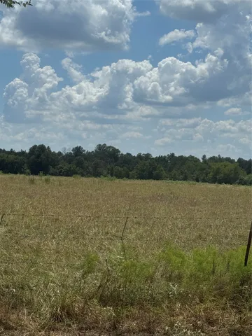 a view of a lake from a yard