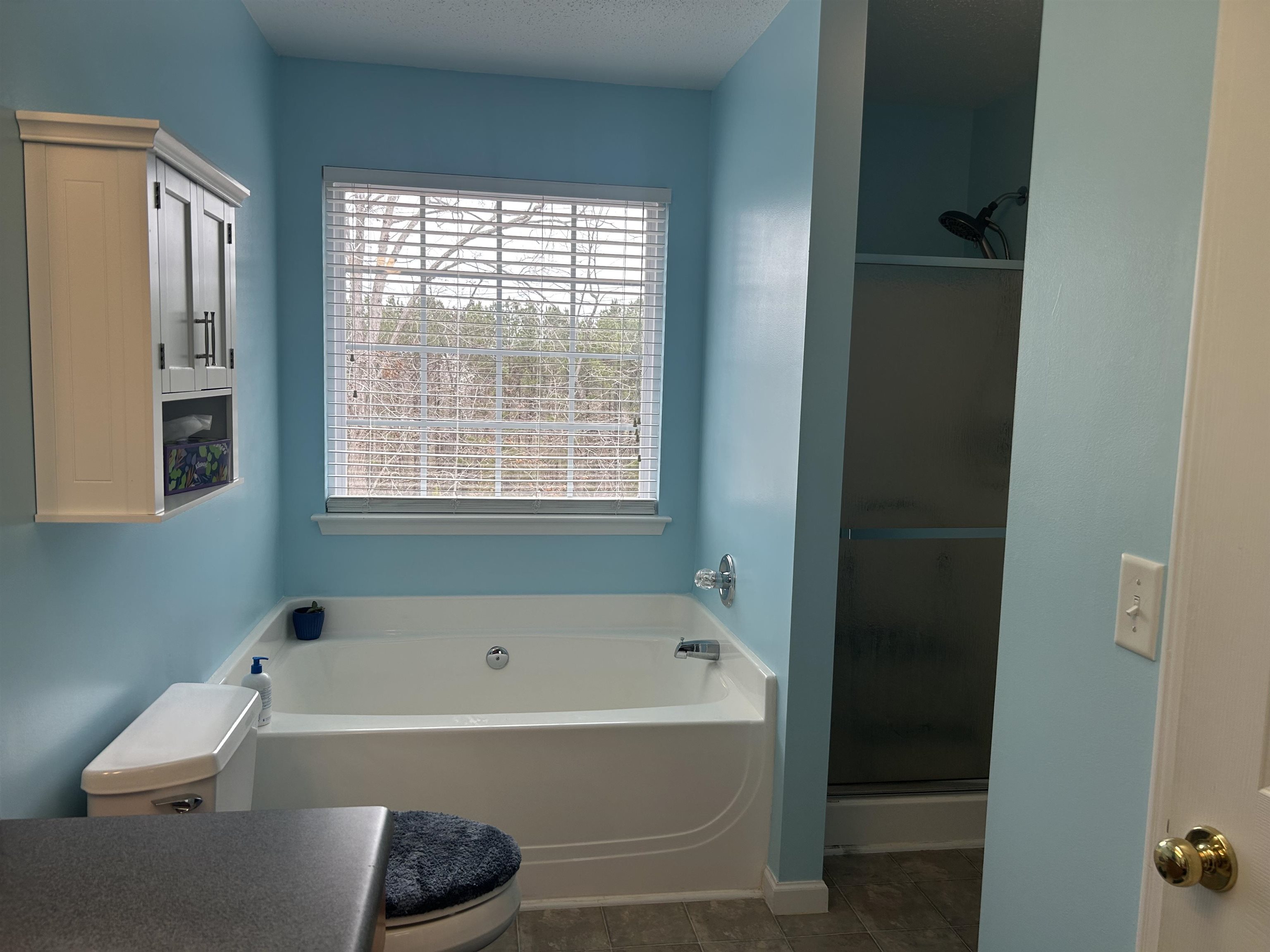 102 Spindleback Way Greer, SC 29651 - Photo 28 of 35