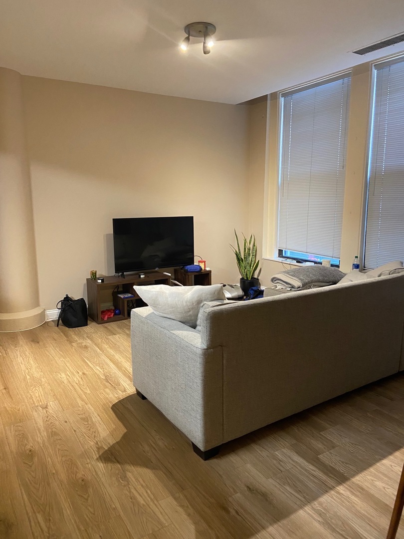 431 South Dearborn Street, Unit 209 Chicago, IL 60605 - Photo 3 of 11 a living room with furniture and a flat screen tv