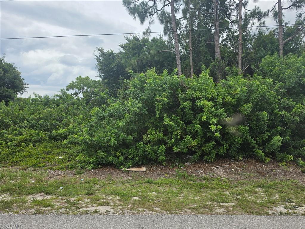 3416 35th Street Southwest Lehigh Acres, FL 33976 - Photo 3 of 7