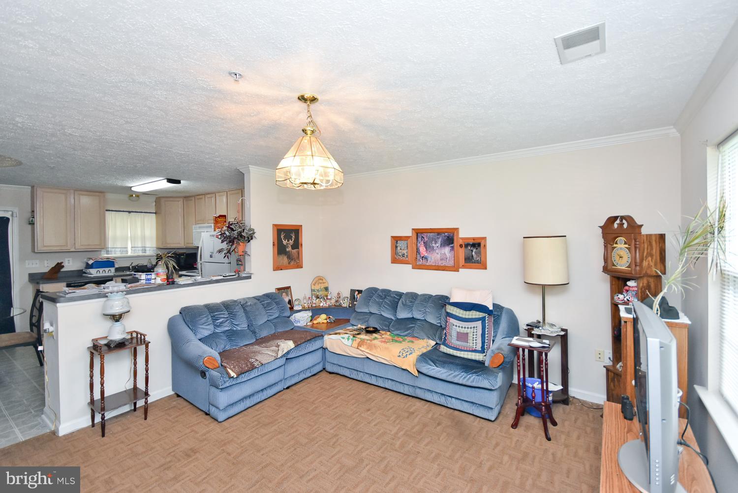 212 Biddle Road Accokeek, MD 20607 - Photo 6 of 22 Living Room