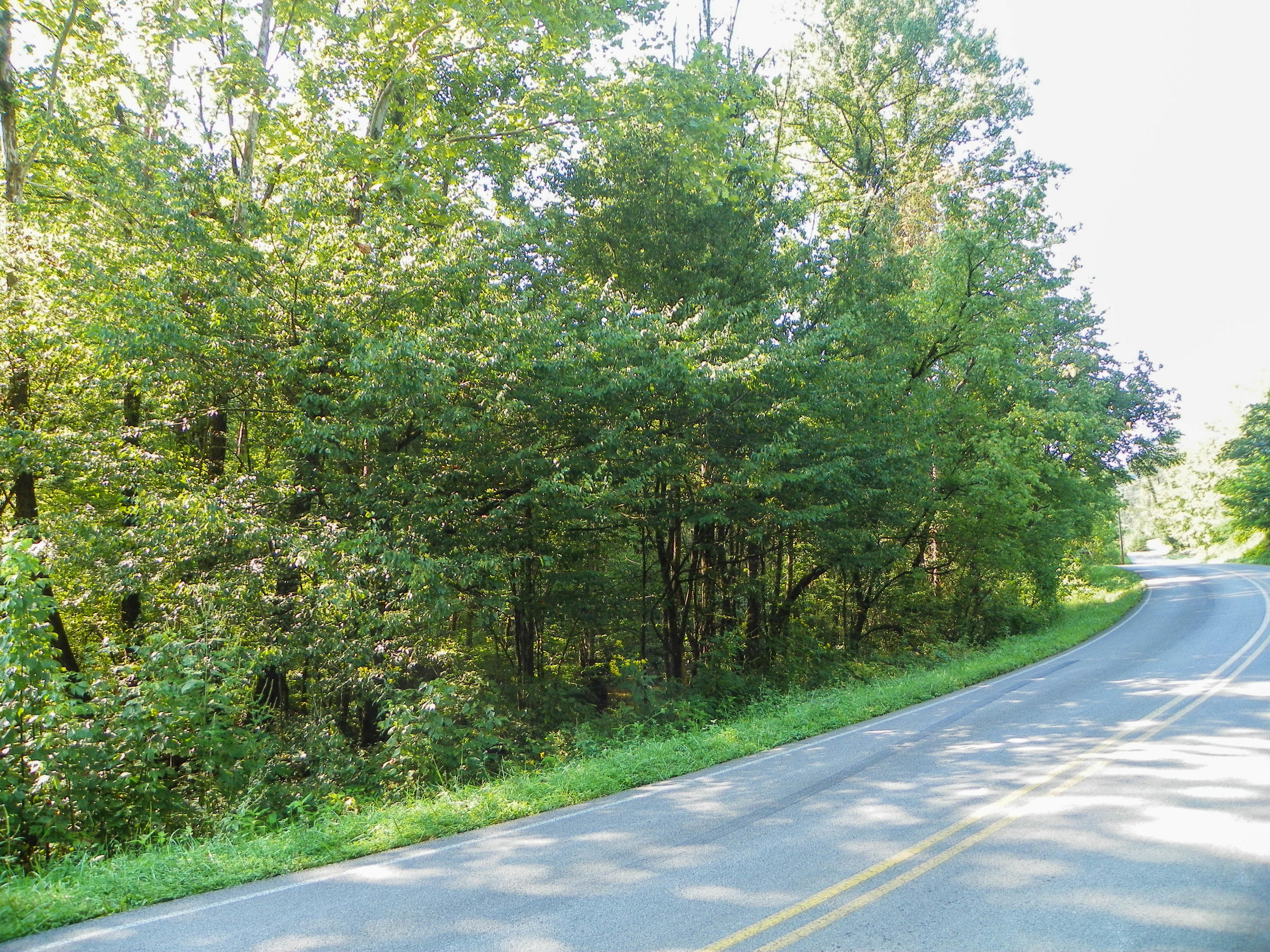 5.01 Bogard Road Cosby, TN 37722 - Photo 13 of 18 BogardRoad (11 of 18)