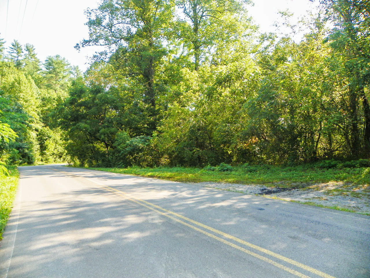 5.01 Bogard Road Cosby, TN 37722 - Photo 3 of 18 BogardRoad (1 of 18)