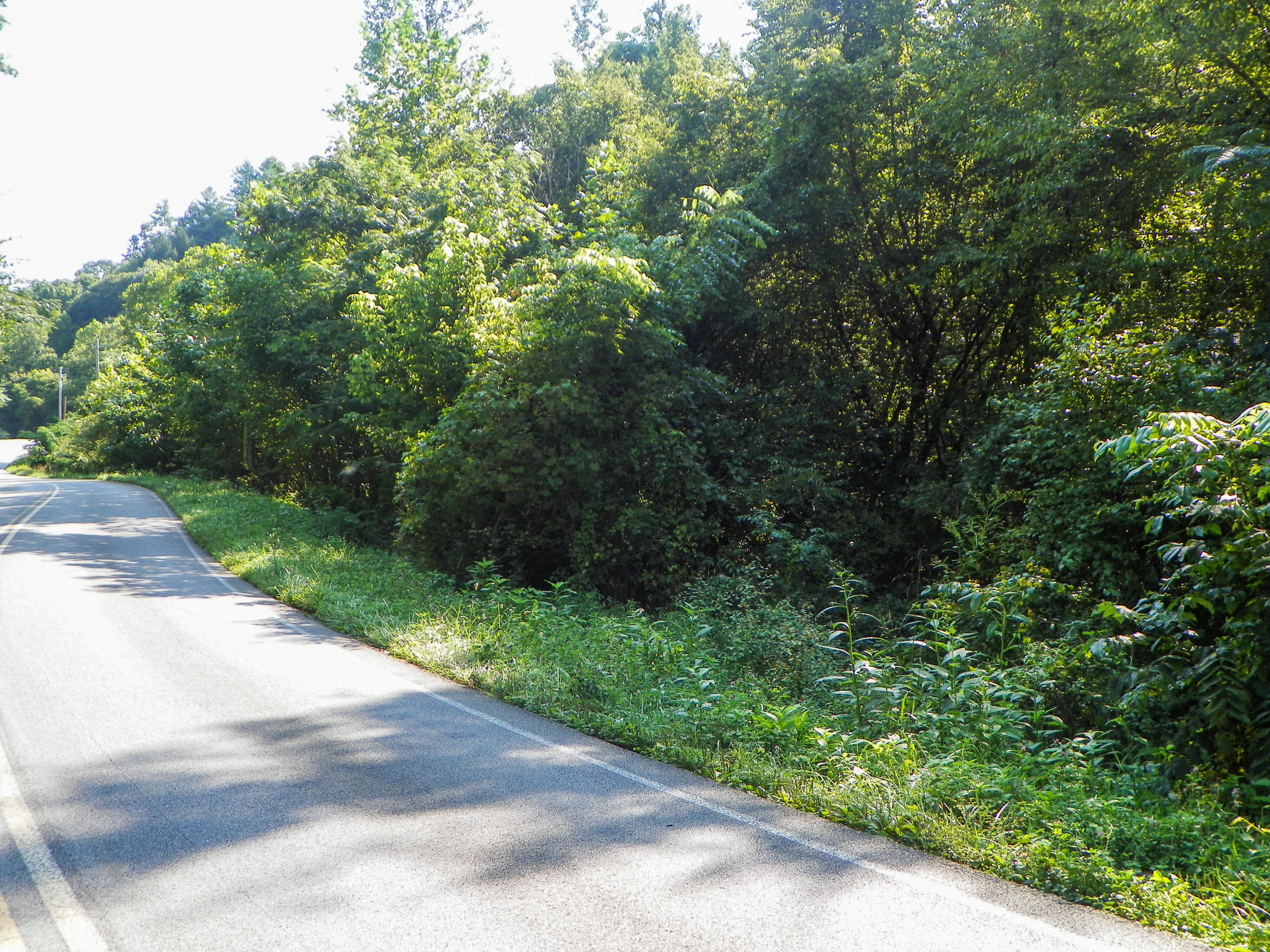 5.01 Bogard Road Cosby, TN 37722 - Photo 4 of 18 BogardRoad (5 of 18)
