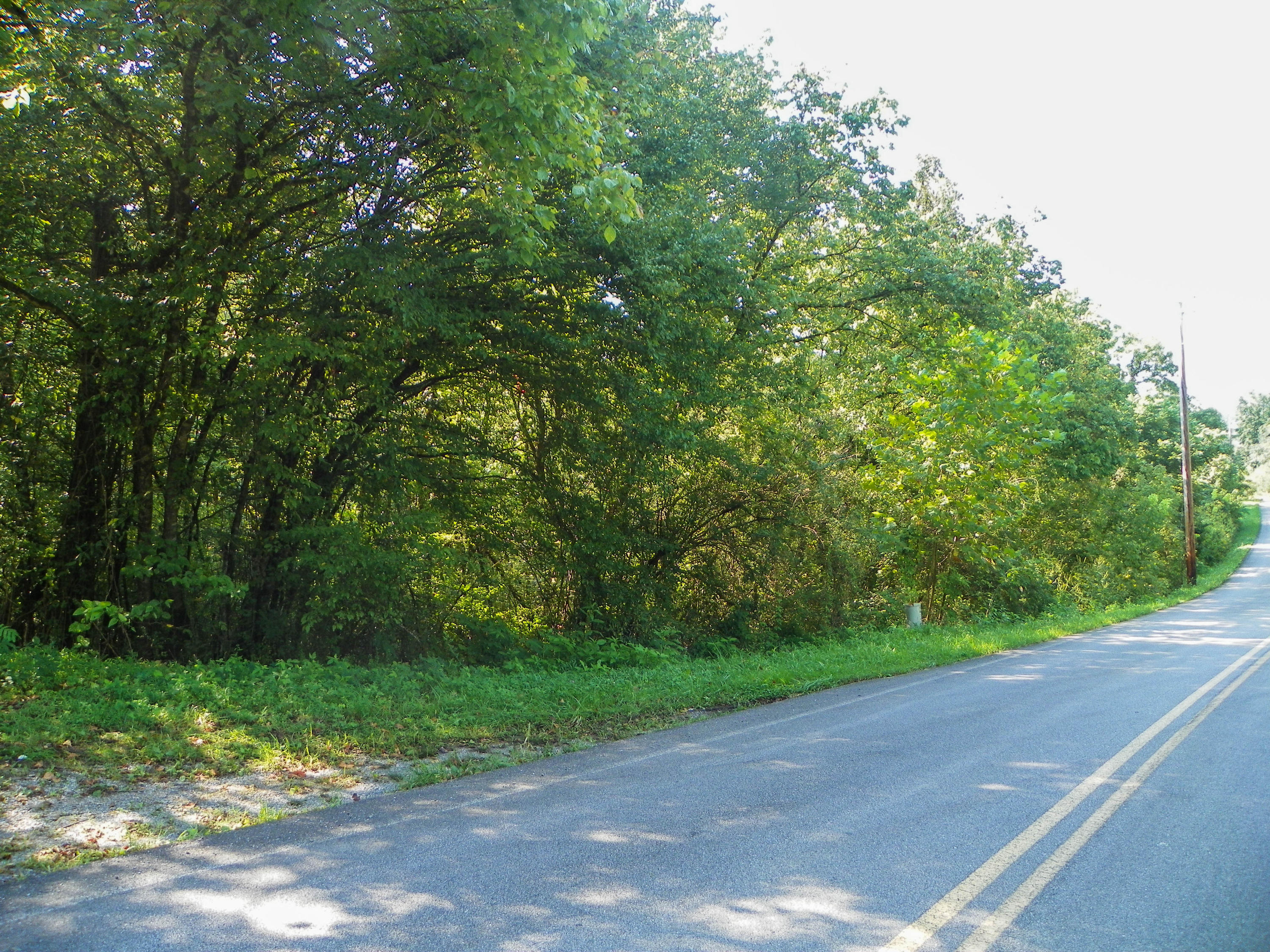 5.01 Bogard Road Cosby, TN 37722 - Photo 7 of 18 BogardRoad (2 of 18)