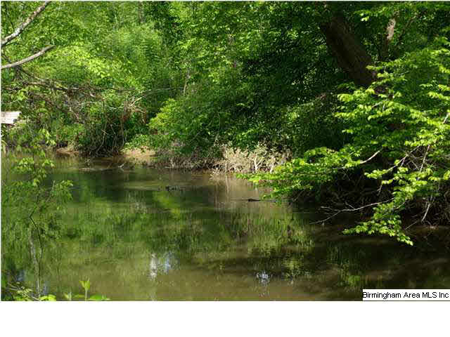 Shoal Creek Road, Unit 56 Ashville, AL 35953 - Photo 14 of 21