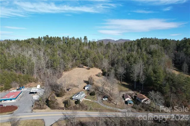 a view of a city with lush green forest
