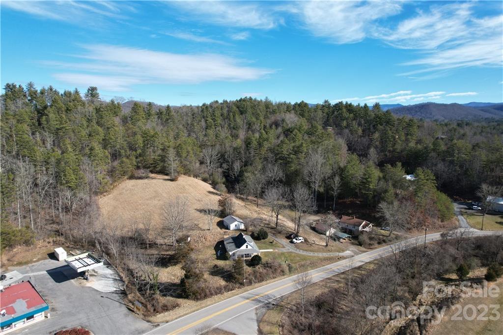 36 Stockton Road Weaverville, NC 28787 - Photo 20 of 31 a view of a backyard with green space