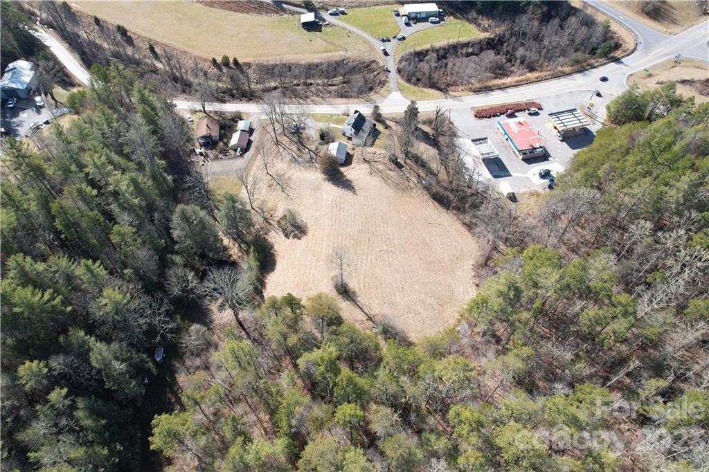 36 Stockton Road Weaverville, NC 28787 - Photo 24 of 31 a view of outdoor space with garden