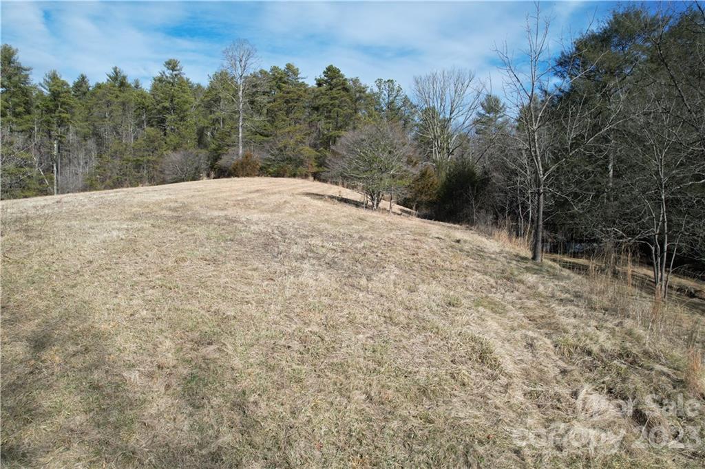 36 Stockton Road Weaverville, NC 28787 - Photo 3 of 31 a view of a backyard of the house