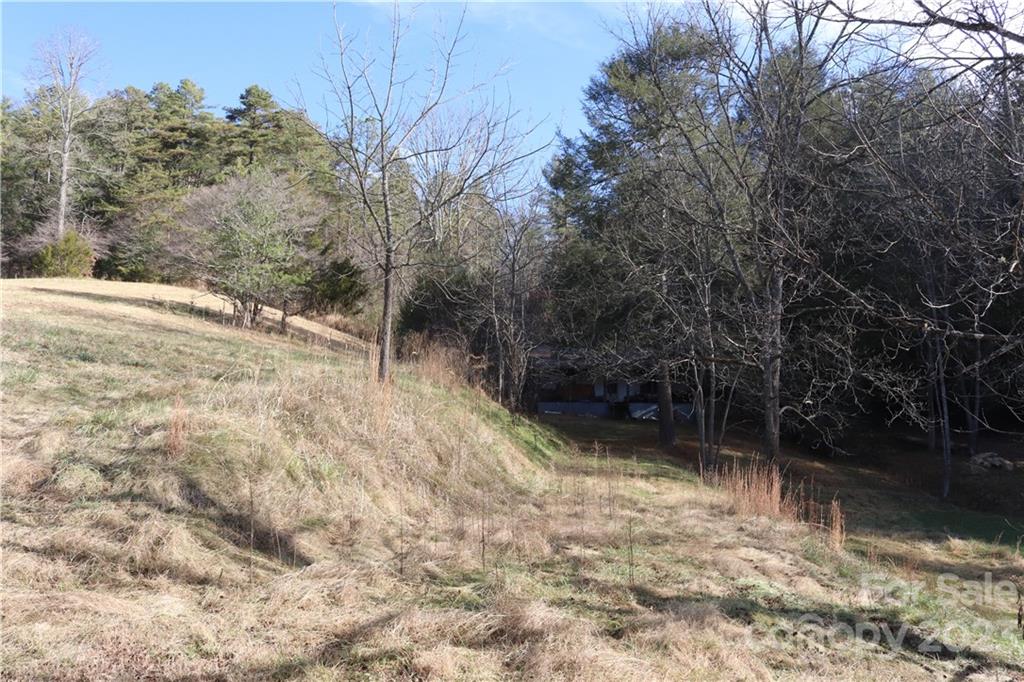 36 Stockton Road Weaverville, NC 28787 - Photo 4 of 31 a backyard of a house with lots of green space