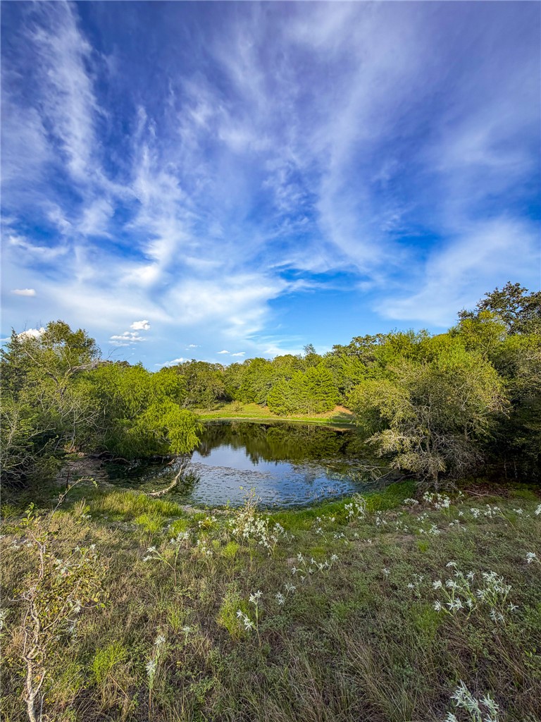 Tbd Oil Field Road Brenham, TX 77833 - Photo 3 of 32 Gallery Image 3