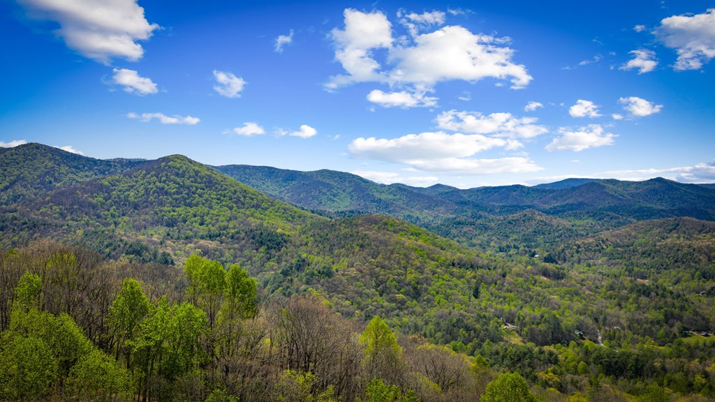 890 Brittney Drive Blue Ridge, GA 30513 - Photo 4 of 37 a view of mountains and valleys