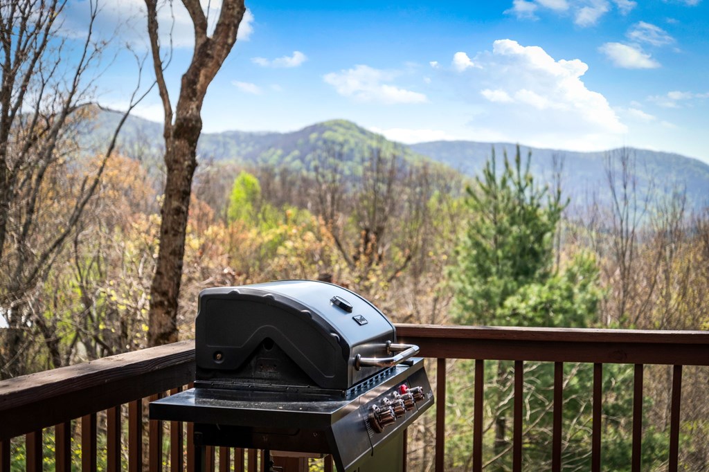 890 Brittney Drive Blue Ridge, GA 30513 - Photo 6 of 37 a view of a balcony with an outdoor space