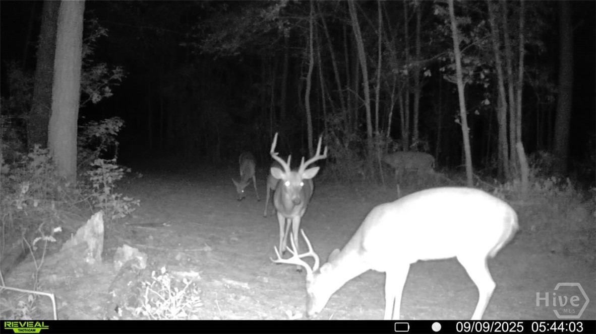 0 Tillman Eason Road Claxton, GA 30417 - Photo 24 of 28