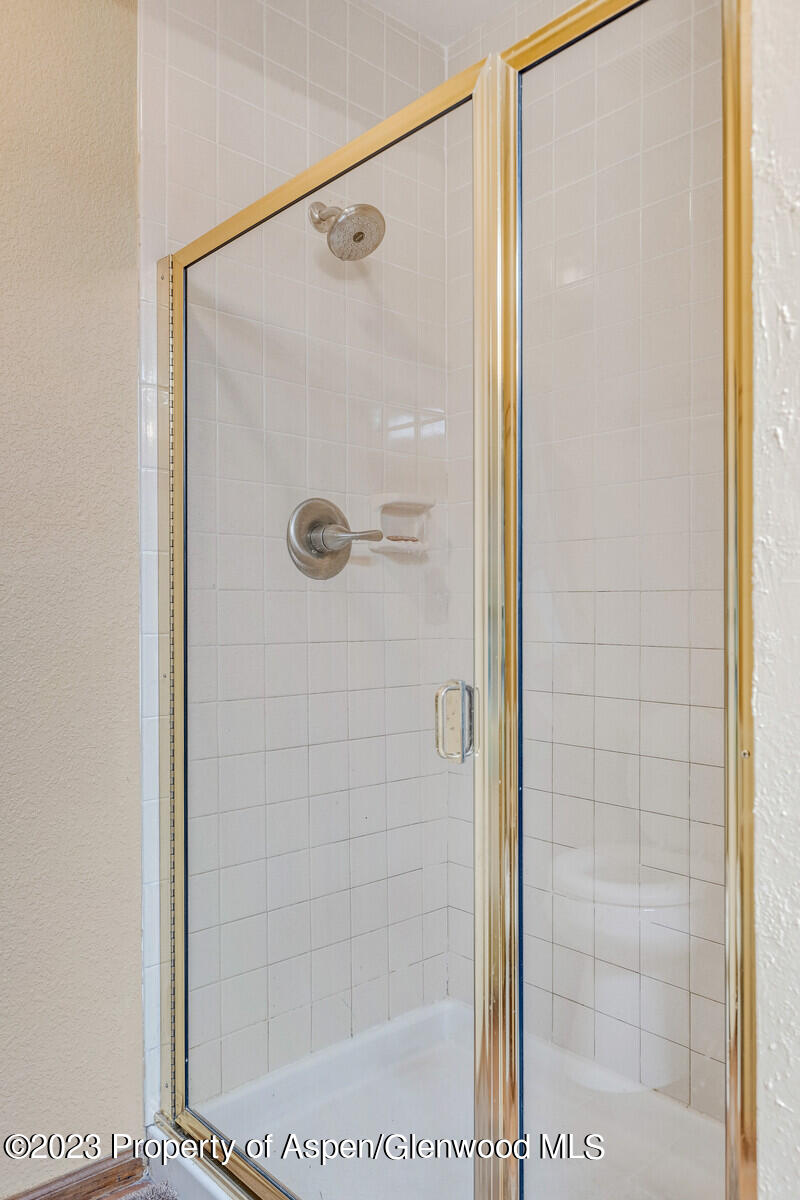 332 Mesa Drive Rifle, CO 81650 - Photo 17 of 44 Primary Shower