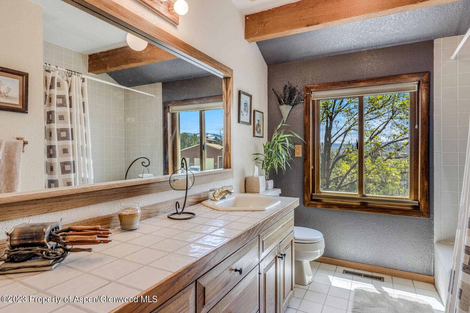 332 Mesa Drive Rifle, CO 81650 - Photo 19 of 44 Bathroom 2